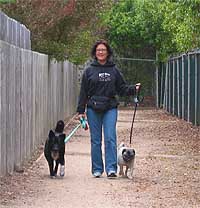 We love walking your dogs!